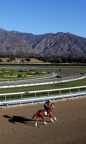 Feinstein joins call for Santa Anita to suspend racing